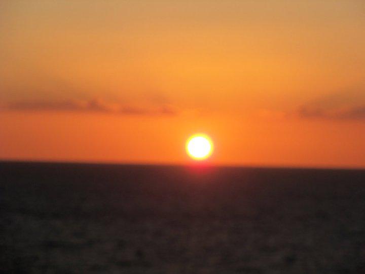 Mary Pryor's album, Cruise March 2011