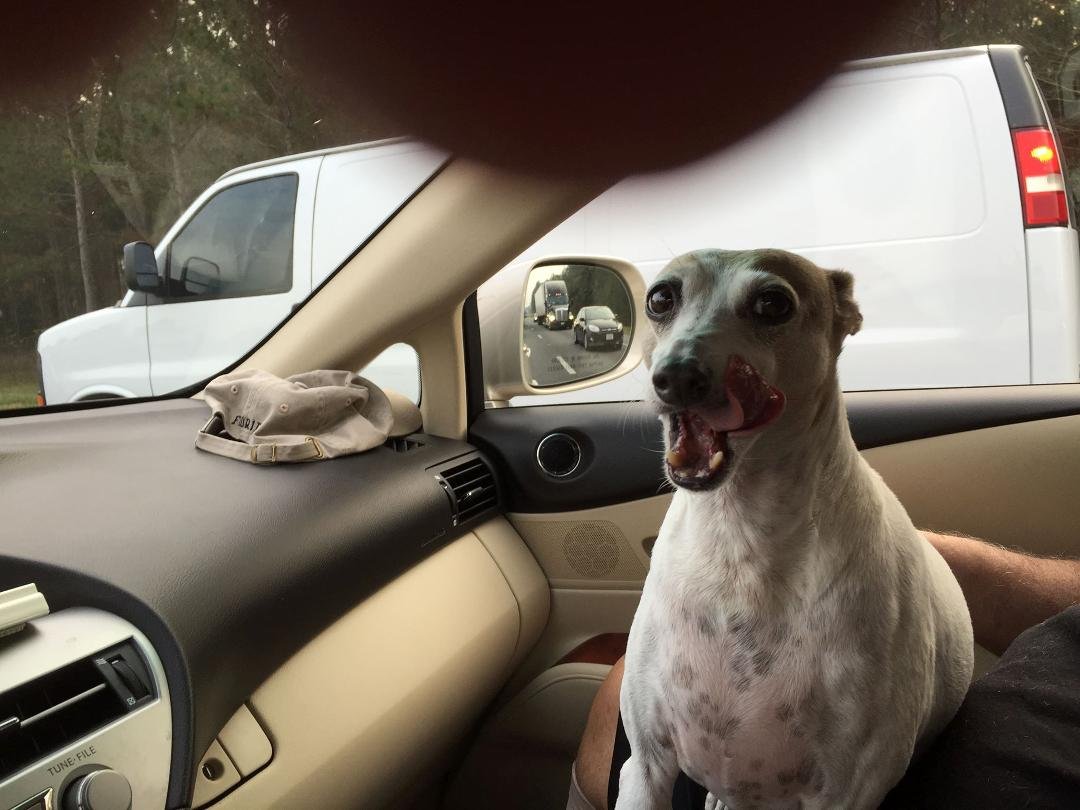 Road Trip