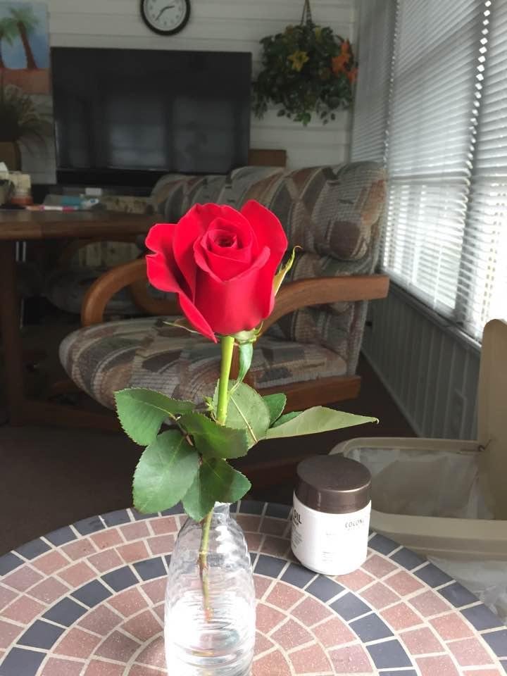 Here's a first. I went to the foot doctor yesterday and he gave his women patients a rose for Valentines Day.