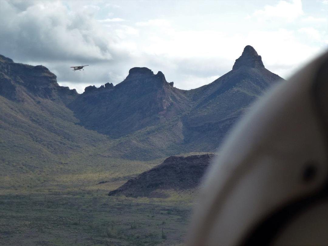 Sheep Peak, Growler Mountans during one of many wild pronghorn captures. AZGFD spotter plane nearby.