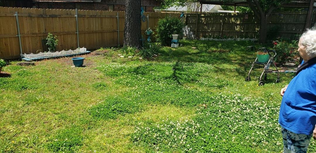 JUST FOR FUN
Moms cat is hiding in this picture. Find her cat. If you see it say "found her".