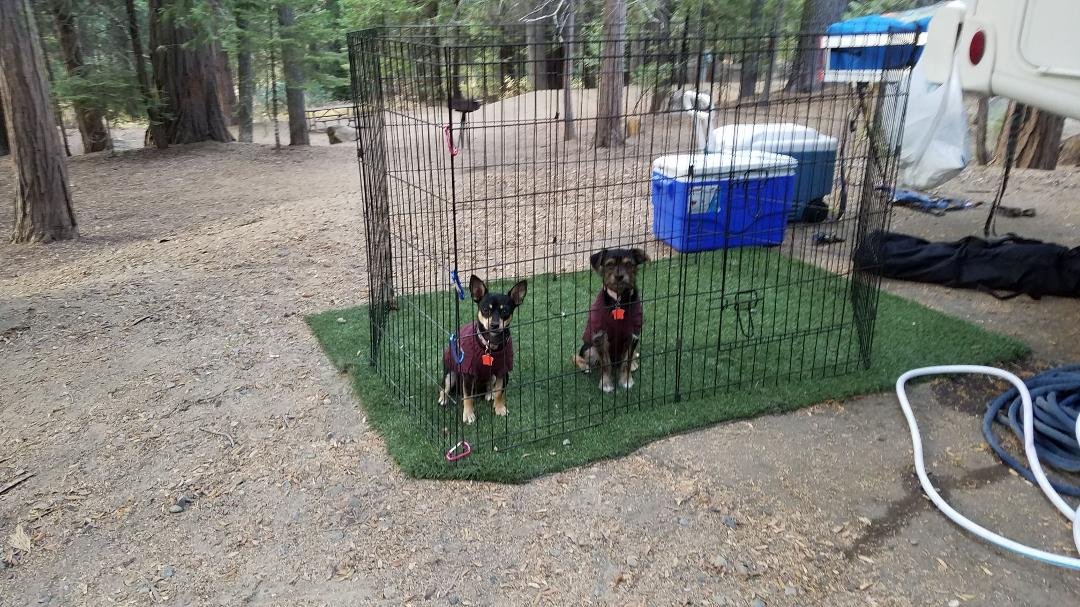 Styling their sweaters 😅