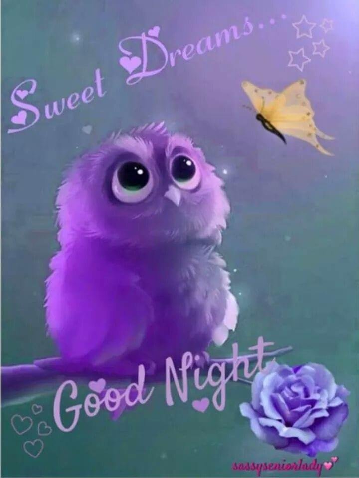 Susan Grandy's album, Timeline photos