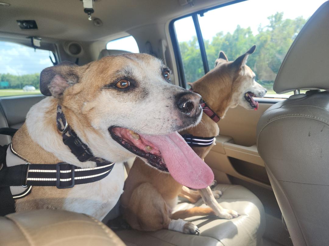 Road trip with the "kids"!