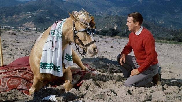 Today we lost Alan Young...he was 96! Best known for the old sitcom "Mr. Ed!" He also starred in one of my all-time favorite movies, "The Time Machine," a 1960 classic! RIP Wilburrrr!
http://abc7news.com/entertainment/a