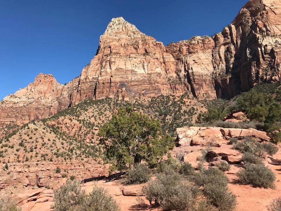 Dwight Merrill's album, Mobile Uploads