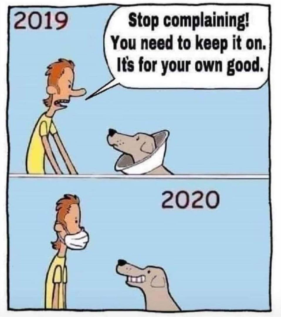 Every Dog has its Day !