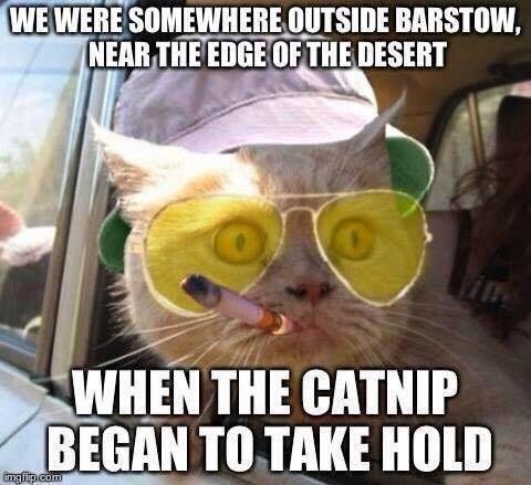 Yesterdays...