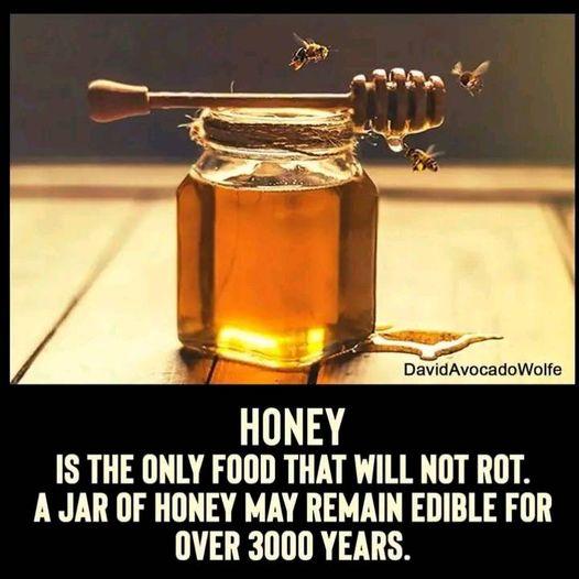 The Bees have had it right for thousands of years!