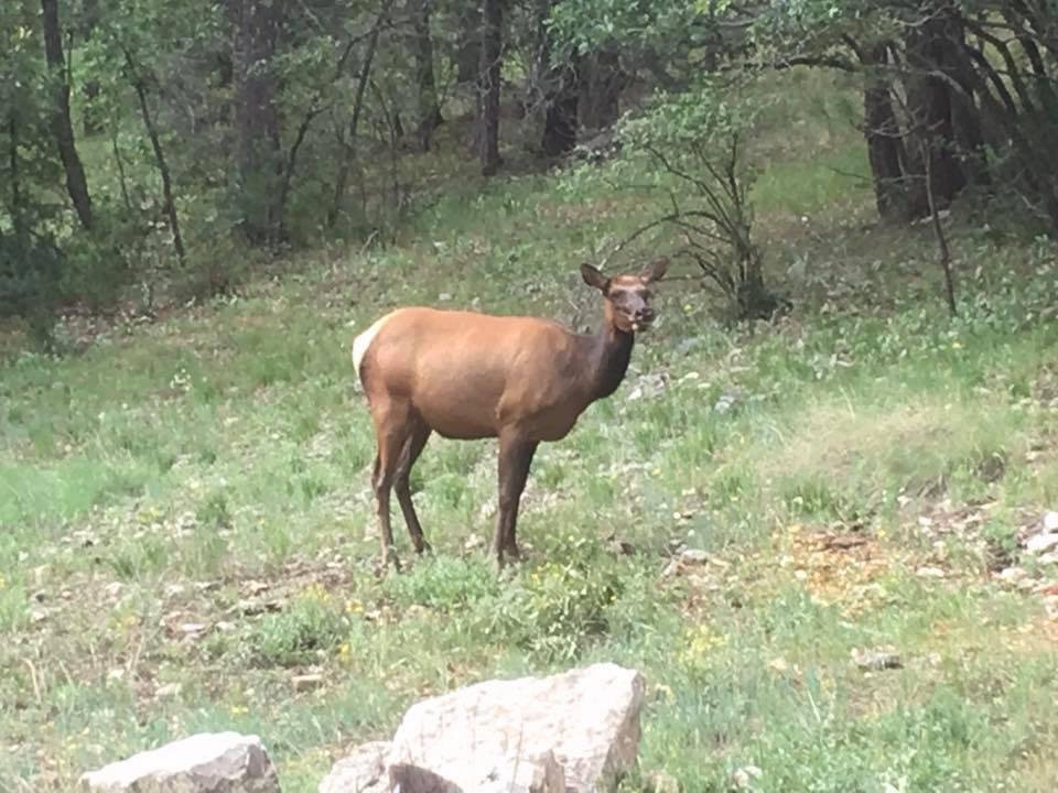 My friend came back. I make friends everywhere I GO.