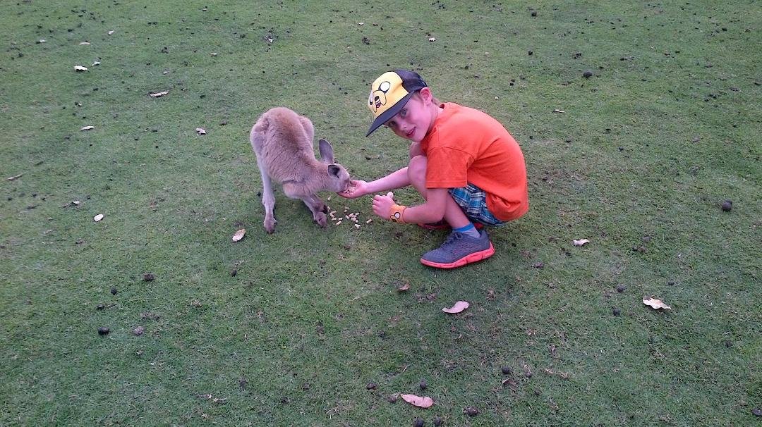 Hey Mom, can we take him home. I promise to look after him.