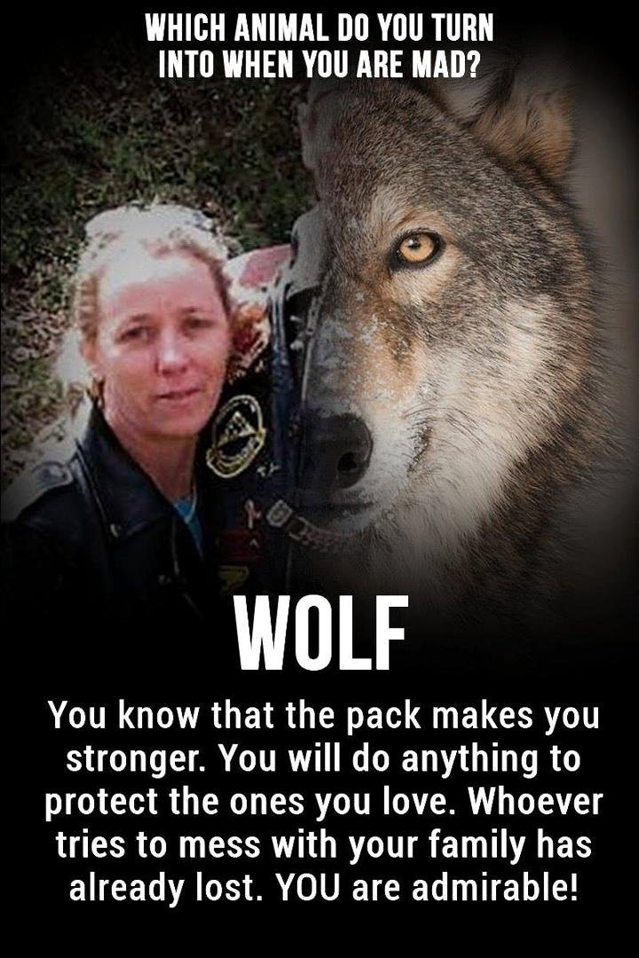 Tammy Dripps' album, Timeline Photos