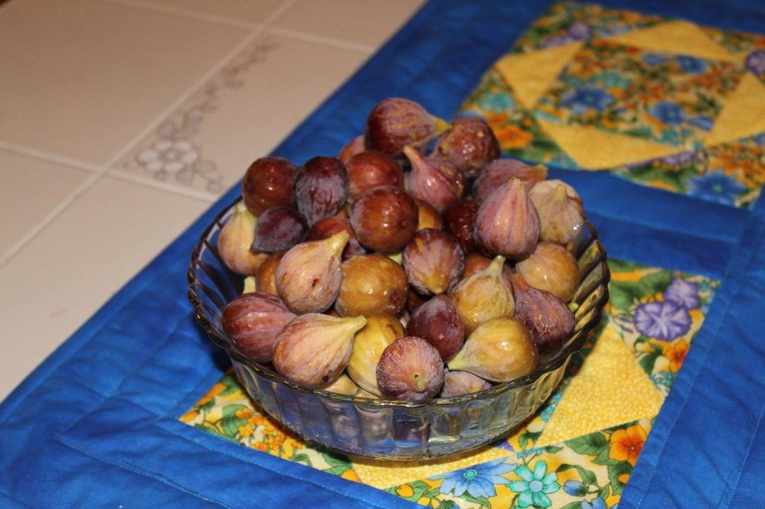 first crop of figs from our brown turkey fig tree!