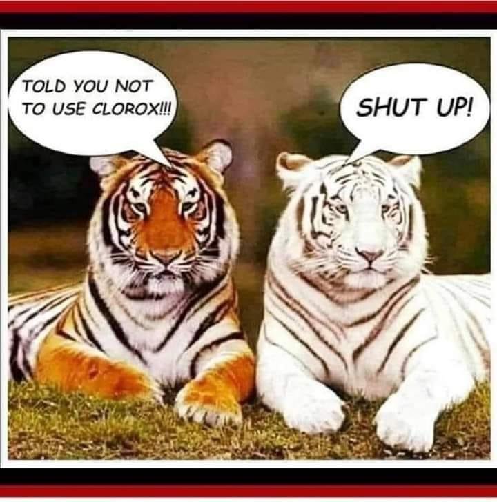 Just because I found it funny! 😲 😎 😂