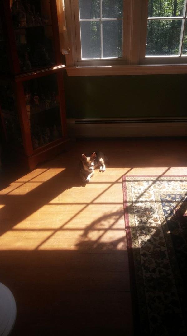 My little guy enjoying the sun