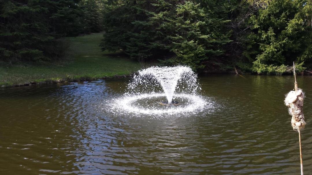 The pond fountain is in. It's official now, spring is here!! Regardless of what the weatherman says.