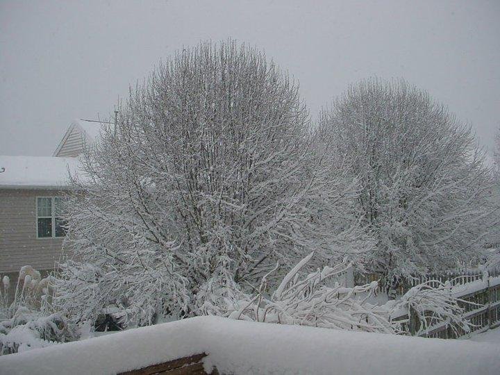 Bruce Rogers' album, December 26, 2010