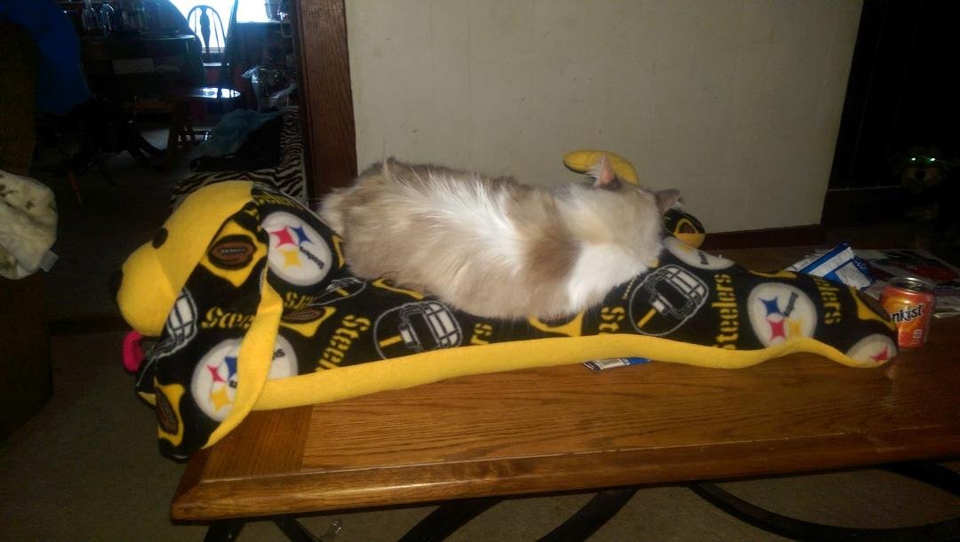 A real Steelers fan