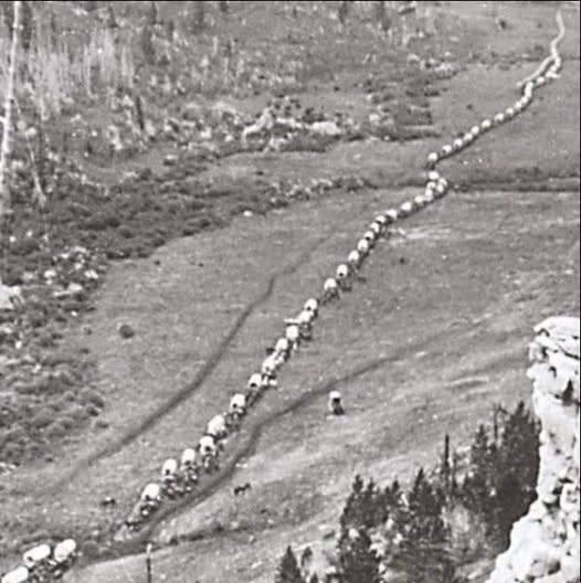 A picture of a wagon train, July 26, 1874.