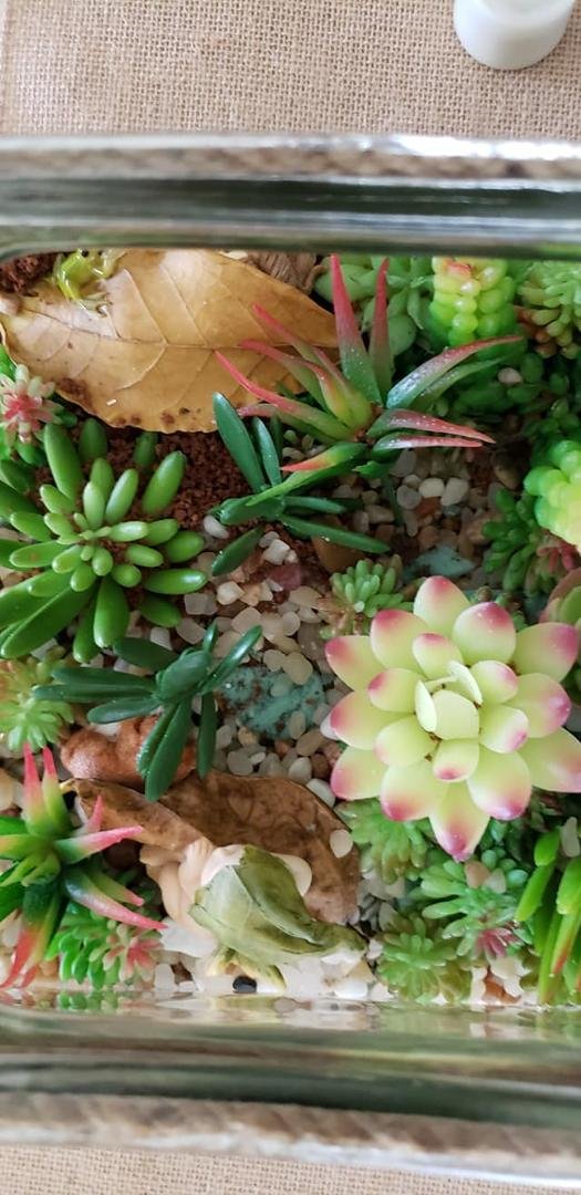 Sheryle Fielding's album, Timeline Photos