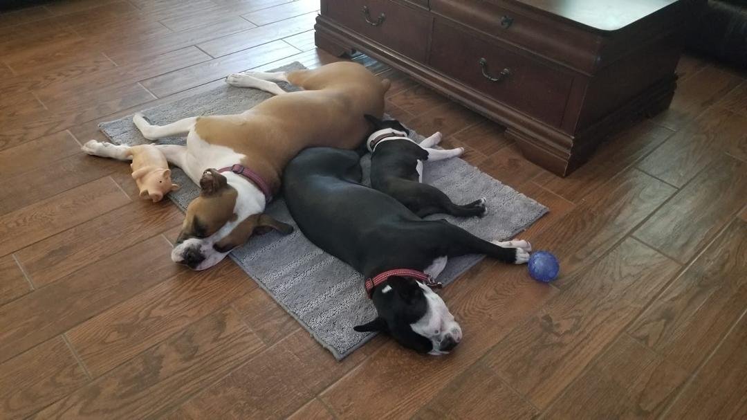 I think they are all played out. Lol