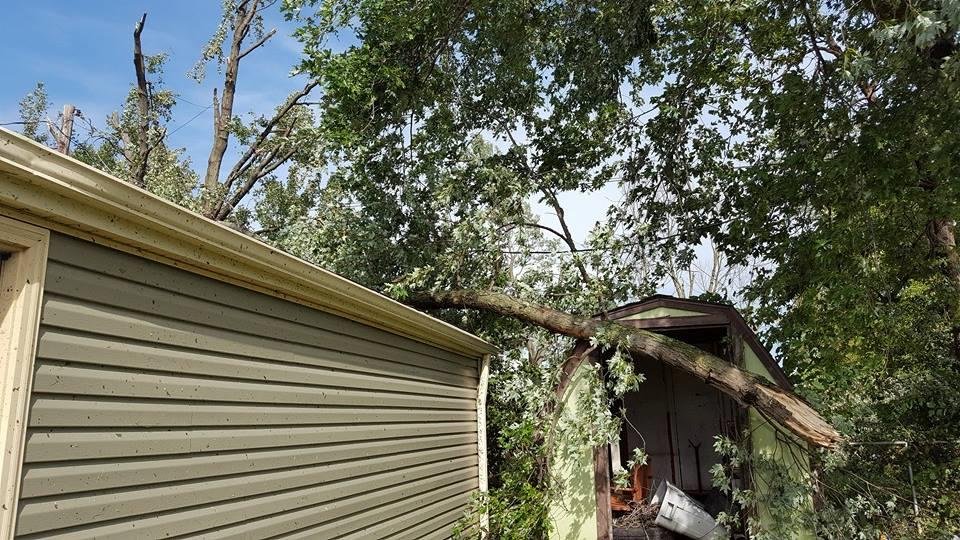 Big limb on the back of our garage.