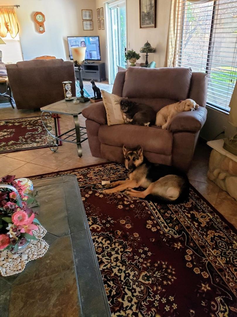 Nap time for the girls!