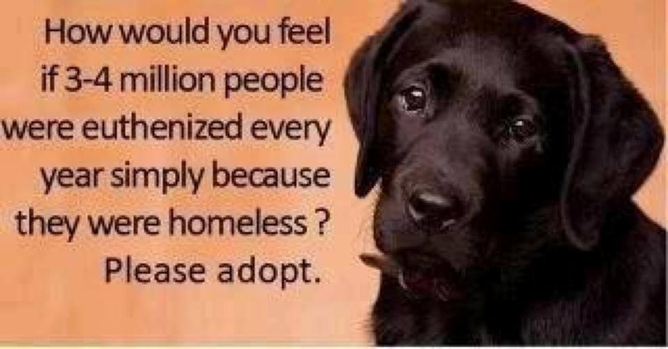 Yvette Lyons' album, Timeline Photos