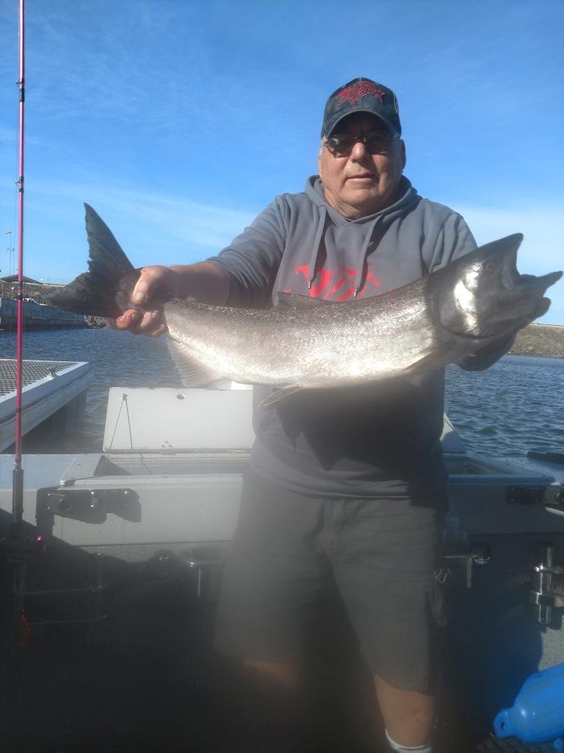 I caught this 10.31 pound Chinook behind McNary dam this morning.