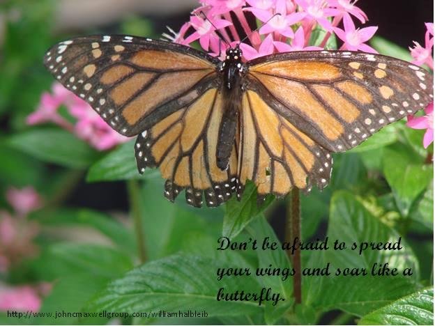 If you're going to soar into the weekend "like" and "share" this post.