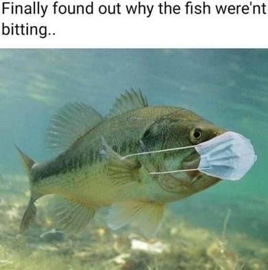 Fishing in Florida