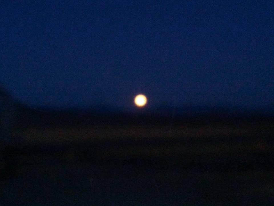 Shane Callahan's album, Mobile uploads