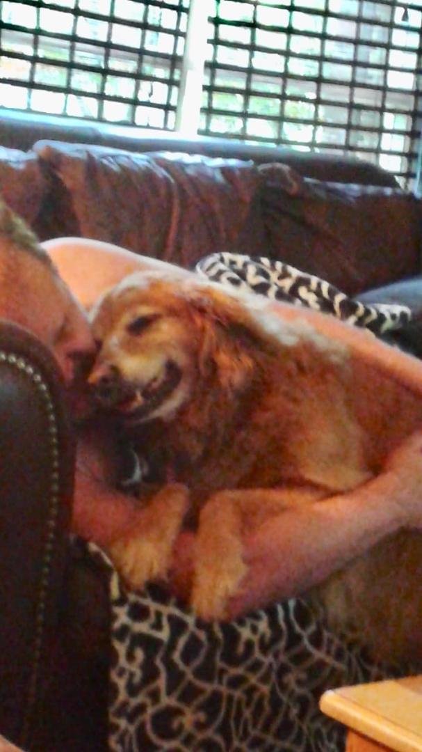 Me and my Lily about 3 weeks before we had to put her down. The disease moves painfully and quickly RIP sweet Lily