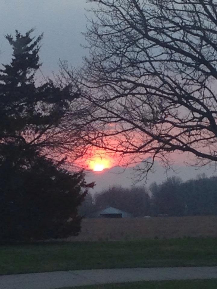 Susan Basye's album, Mobile Uploads
