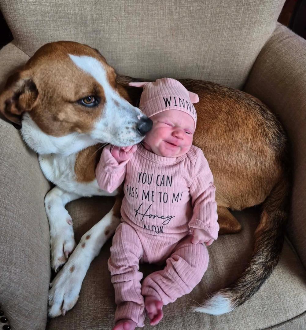 Wanted to introduce my Great niece and Will Oslund aka David's new granddaughter Winona Harper Oslund. WINNIE is the new daughter of Christopher Wyatt Oslund and his wife Megan Oslund I haven't got to see her in person but