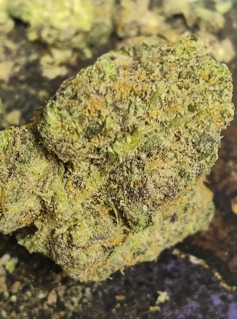 Gelato cake