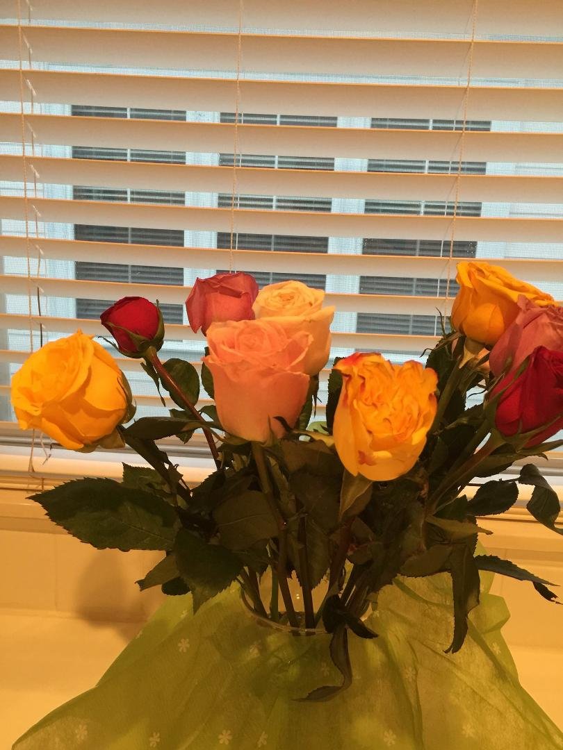 Amazing Surprise from an amazing daughter... Celebrating  my 20 years at Walt Disney World!
