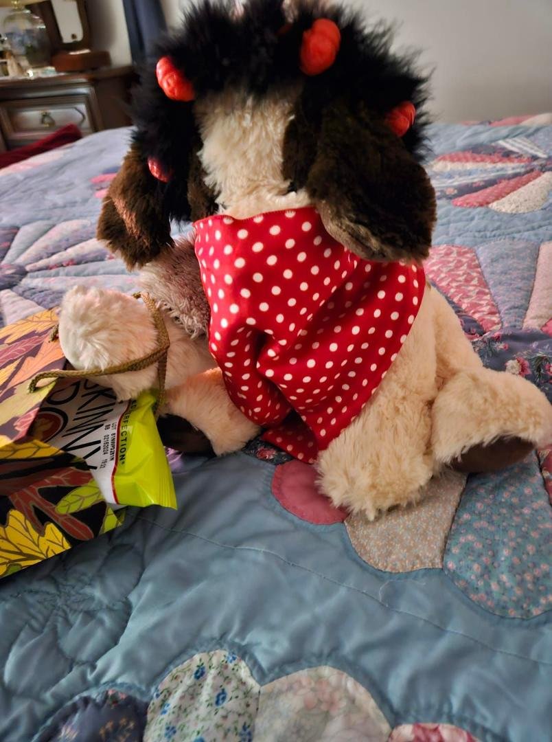 My stuffed fur baby went trick or treating tonight.