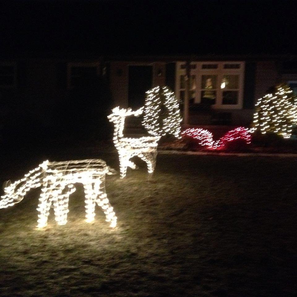 Front yard..