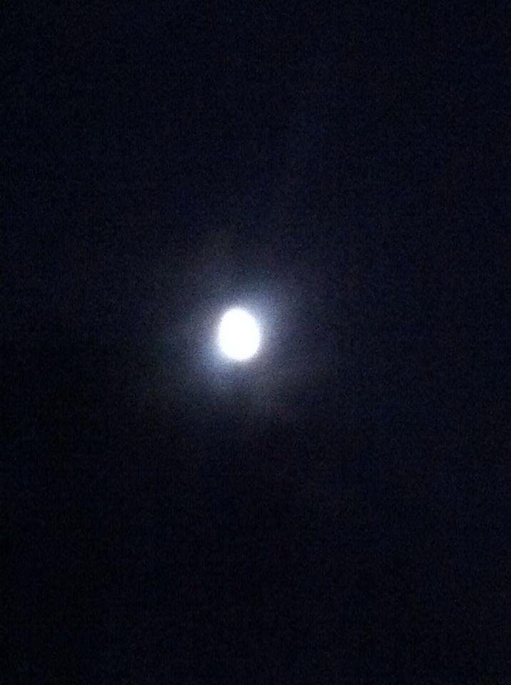 There's a moon out tonight ...