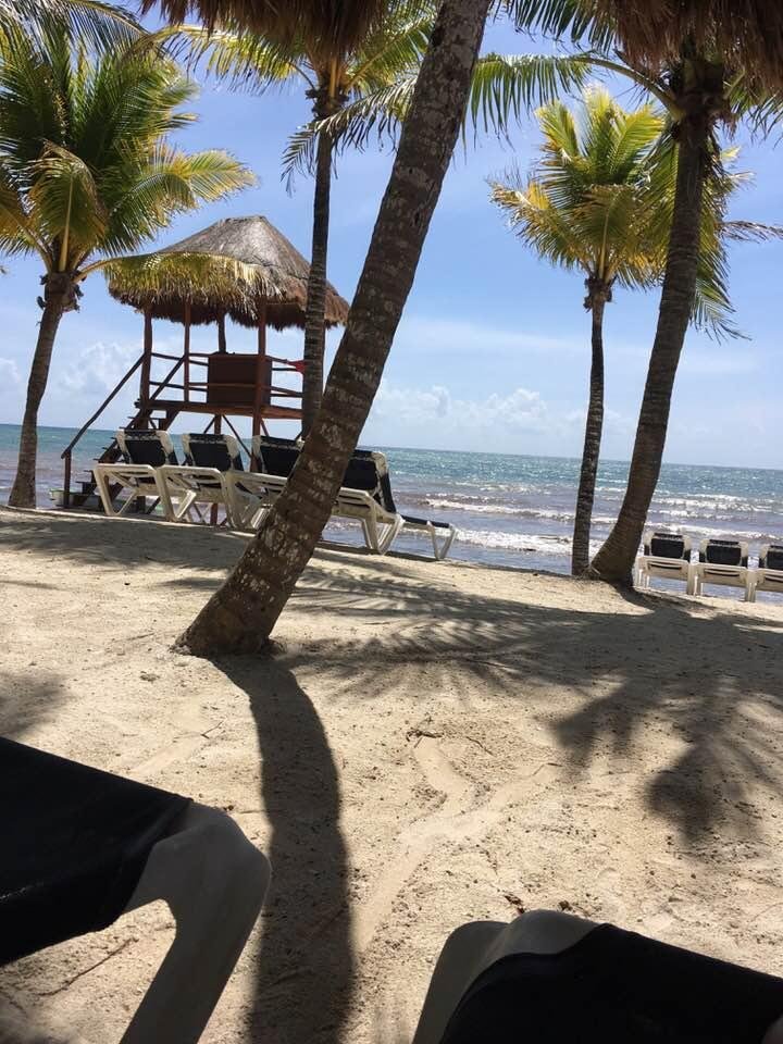 My view for the day. Tomorrow, back to reality.