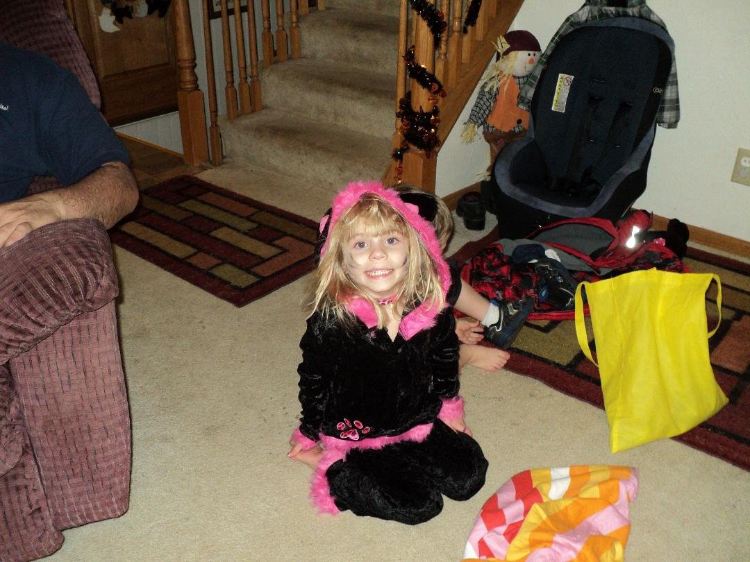 Emily the kitty cat