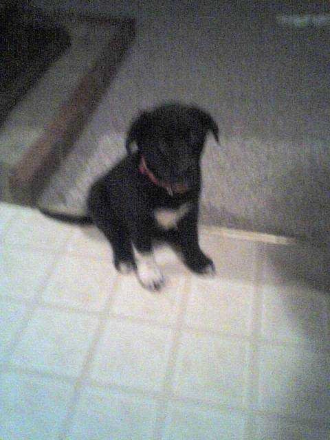 Nellie Mathis' album, December 28, 2010