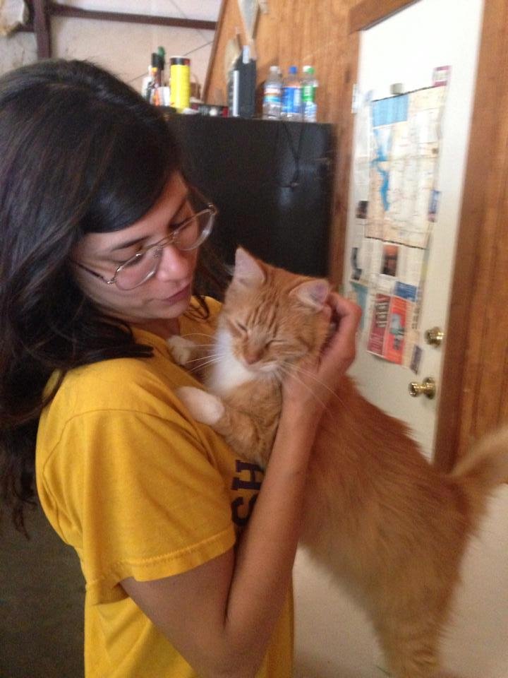 Calico and cat lady
