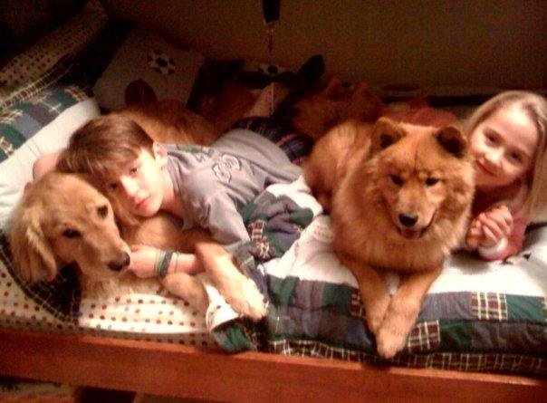 George & Charles Carlson-  Bella & Dorothy Carlson
in Charles' bed-Washington, DC February, 2008
