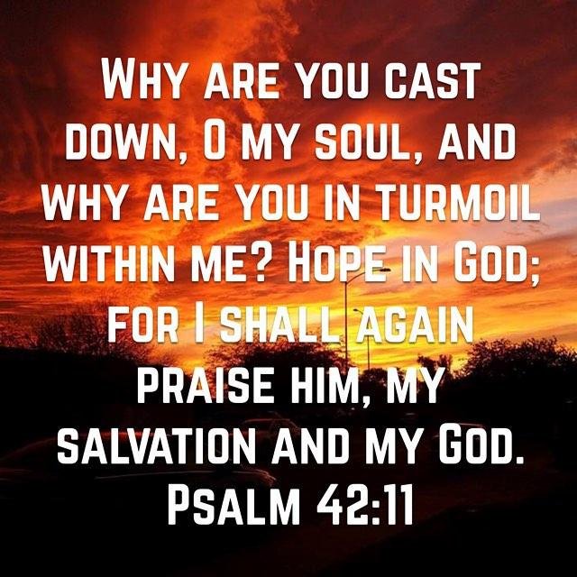 LIVE the Word!