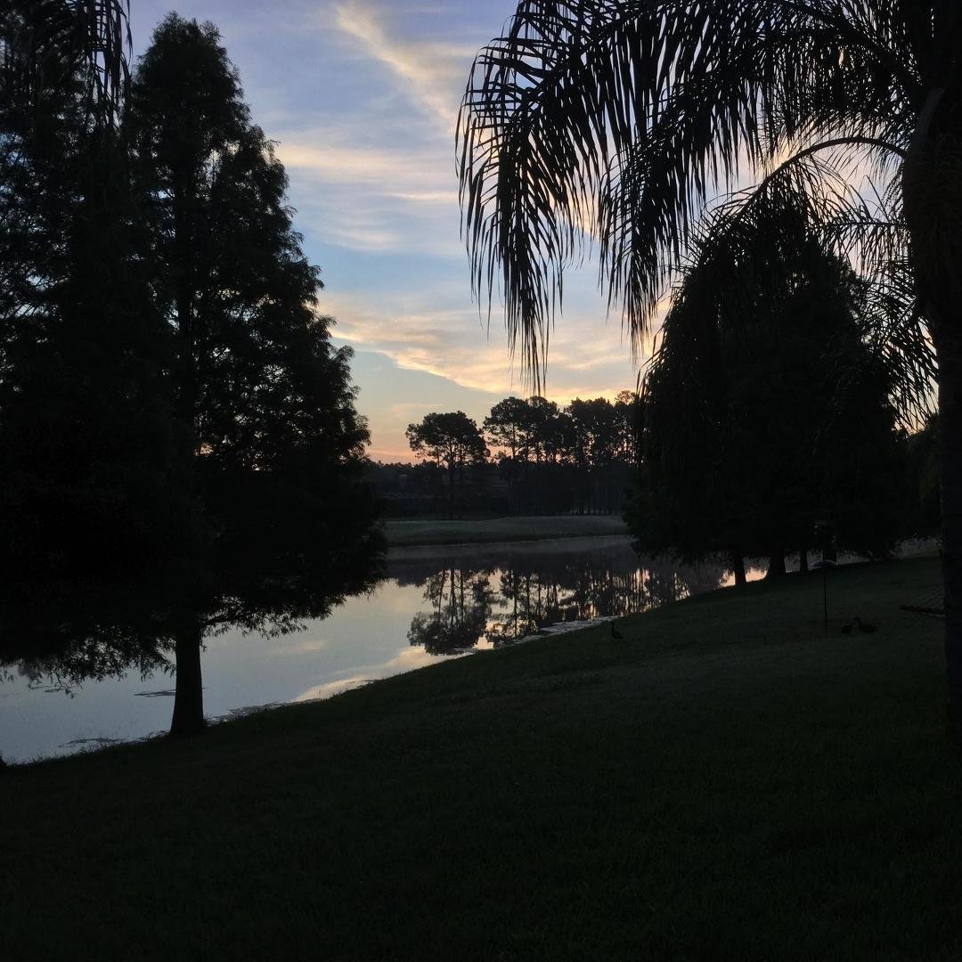 Nancy Guss' album, Timeline Photos