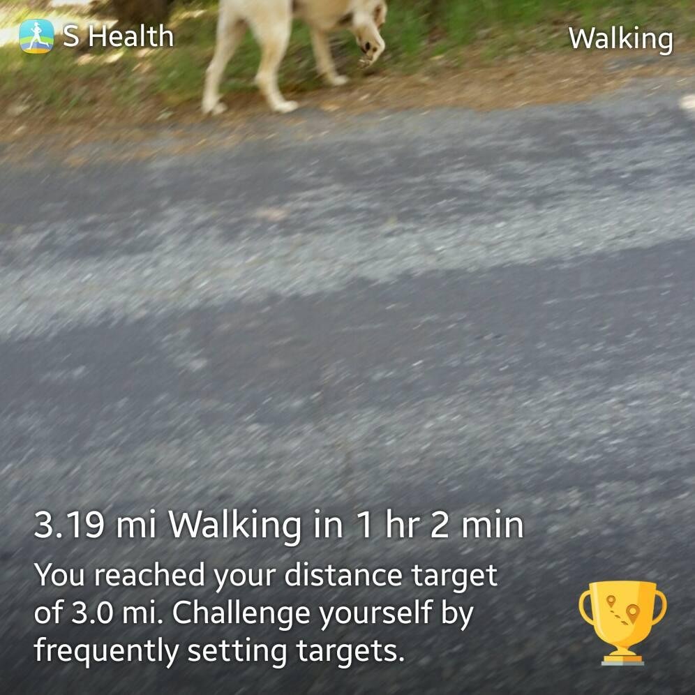Had a wonderful walk!!!