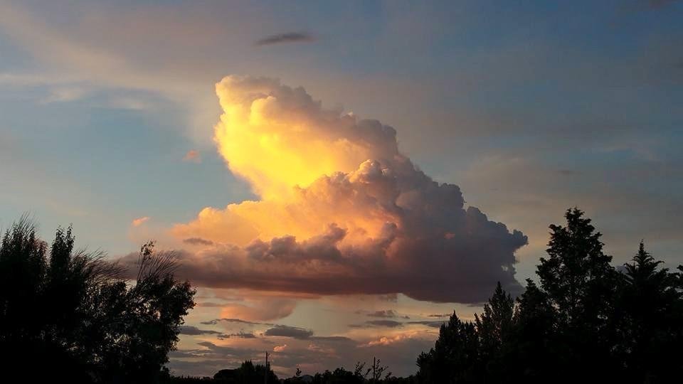 From our backyard