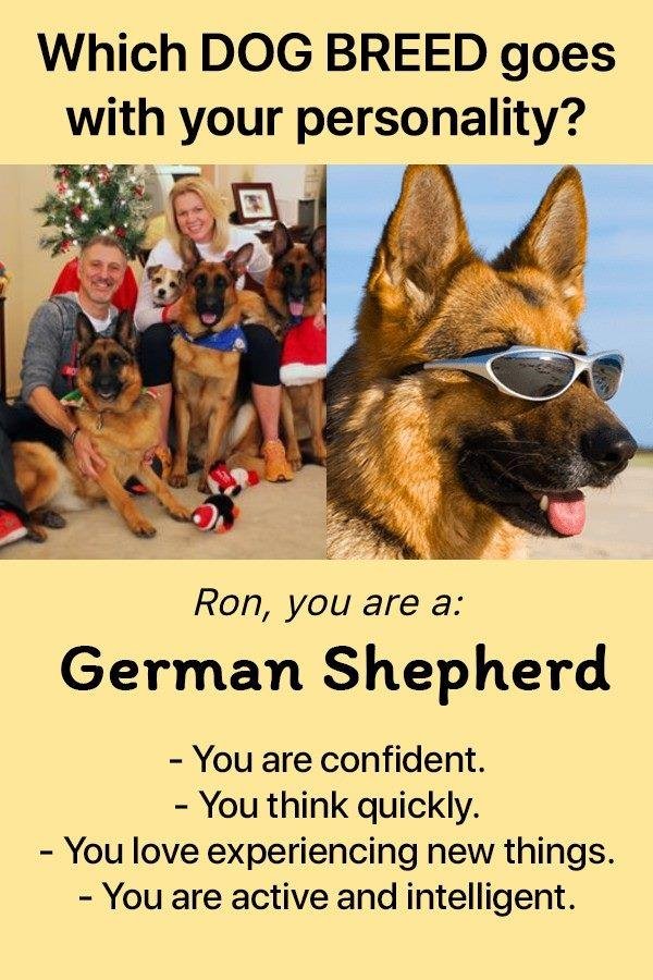 I wonder what gave it away? Must be some really technical algorithm!